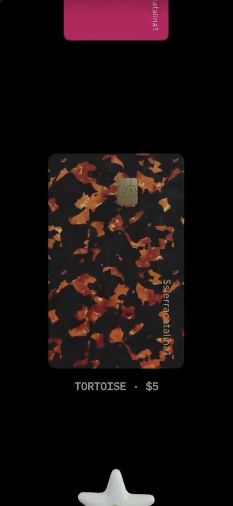 A frame from her video: choosing the Tortoise card in the new ordering flow, the Wand below it